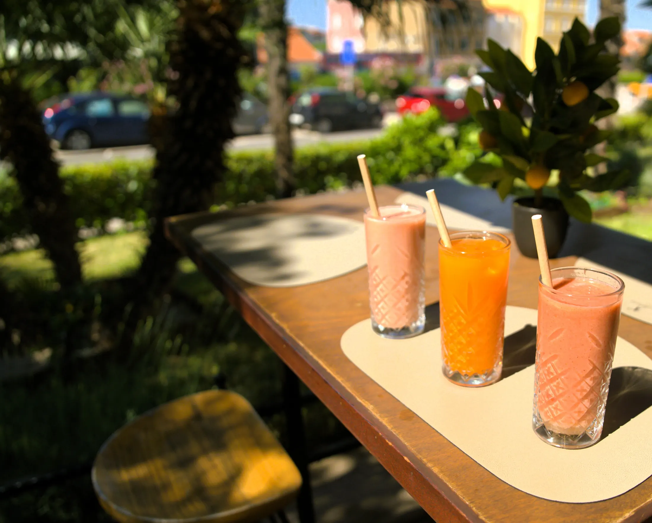 Juices and smoothies on a table by the palm garden, Pizzeria Villa Diana, Lučac, Split