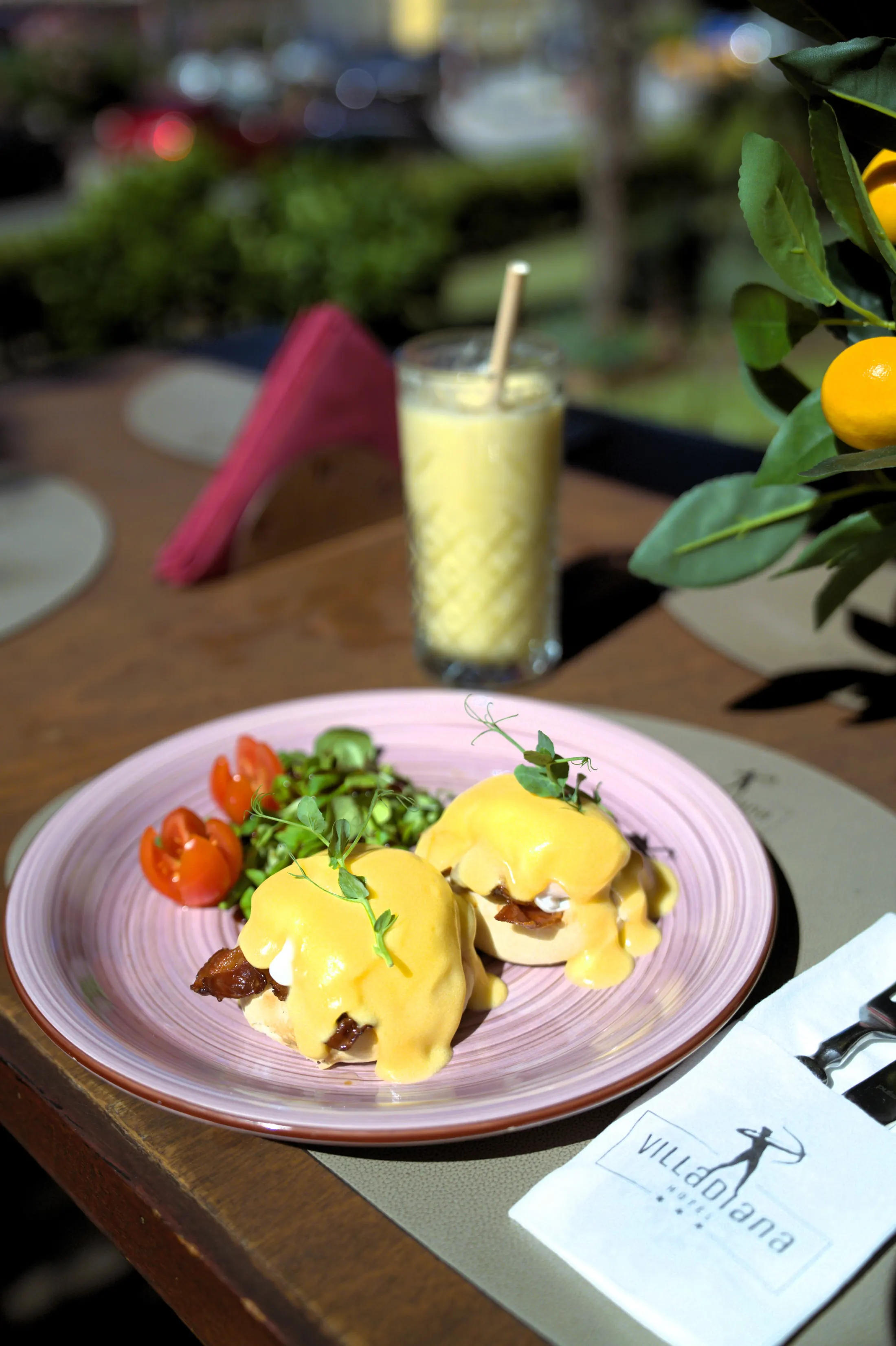 Eggs Benedict, poached eggs on bread and bacon topped with hollandaise sauce, Pizzeria Villa Diana, Lučac, Split